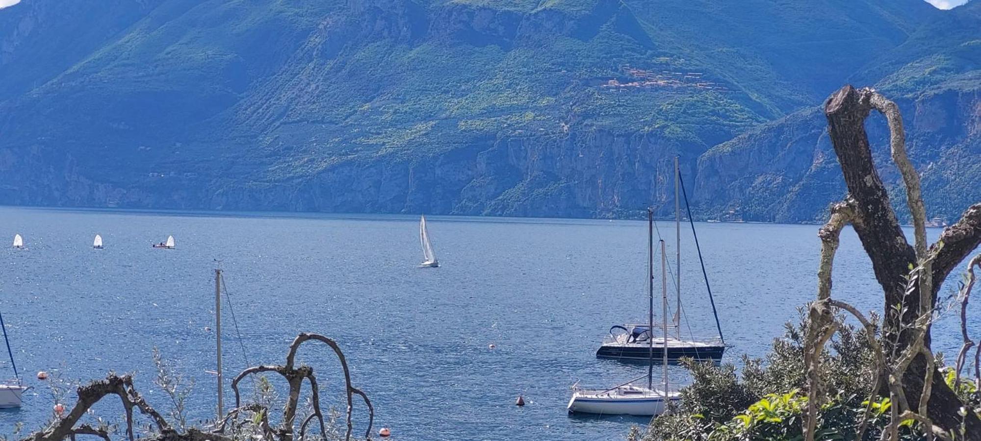 Marigarda Apartments Assenza di Brenzone Eksteriør billede