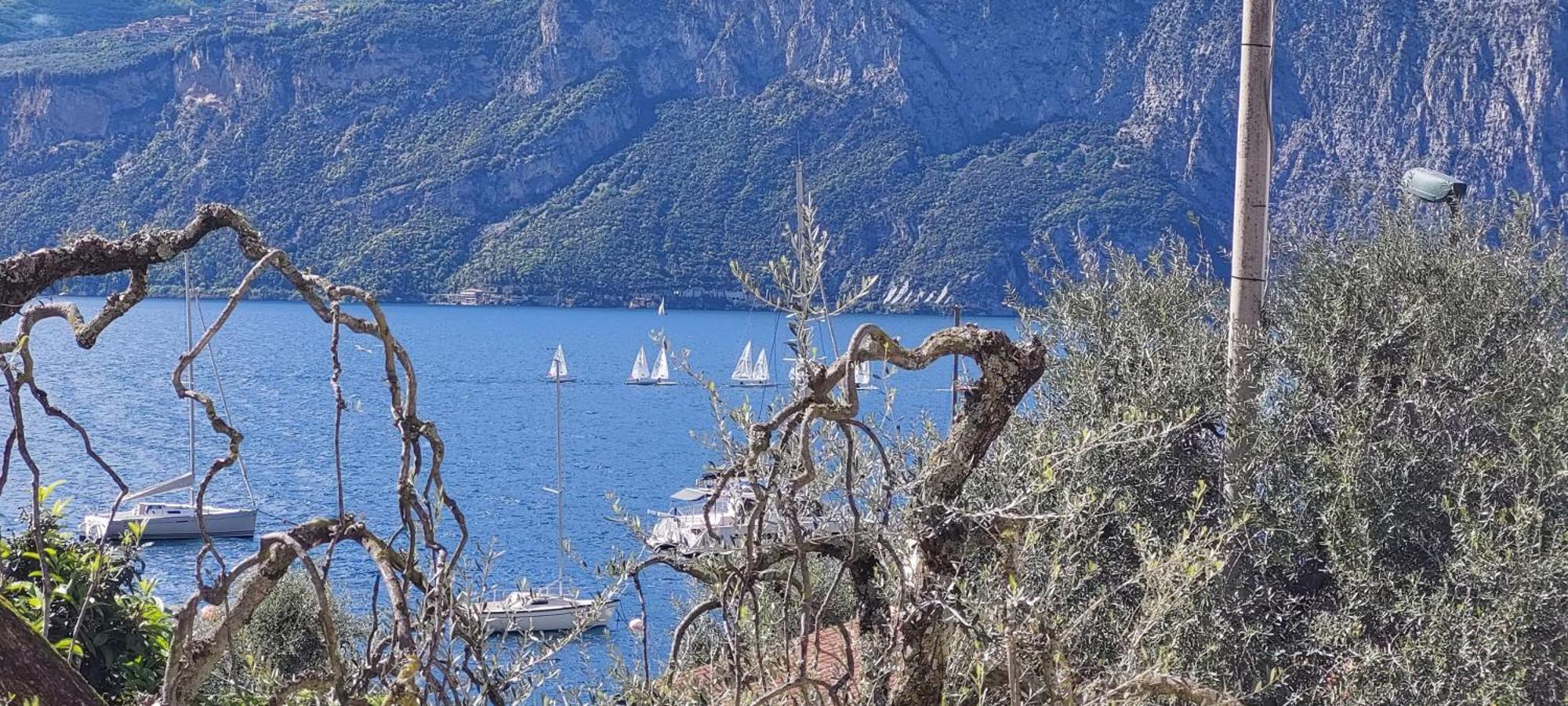 Marigarda Apartments Assenza di Brenzone Eksteriør billede