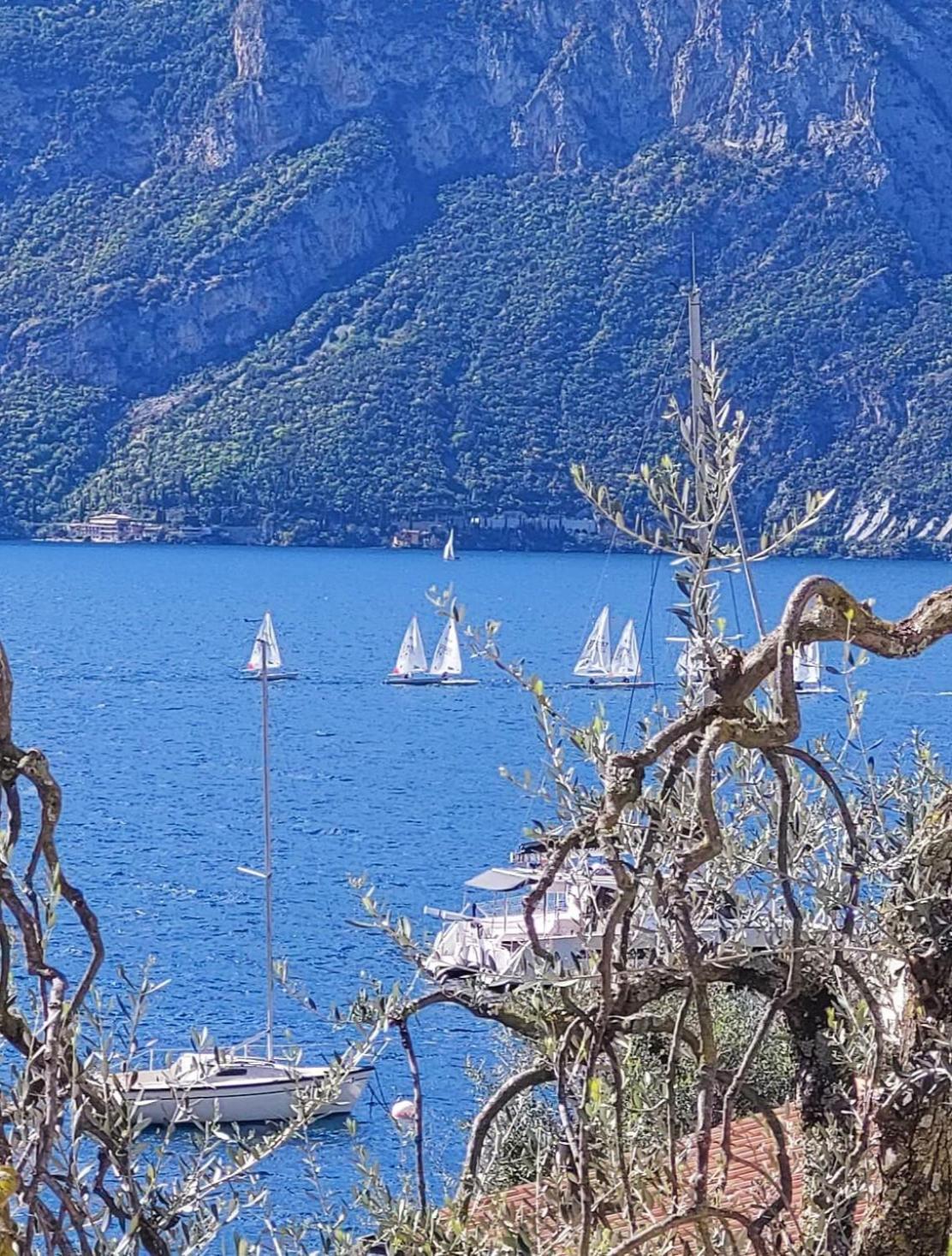 Marigarda Apartments Assenza di Brenzone Eksteriør billede